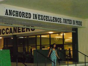 Vinyl lettering on pvc board