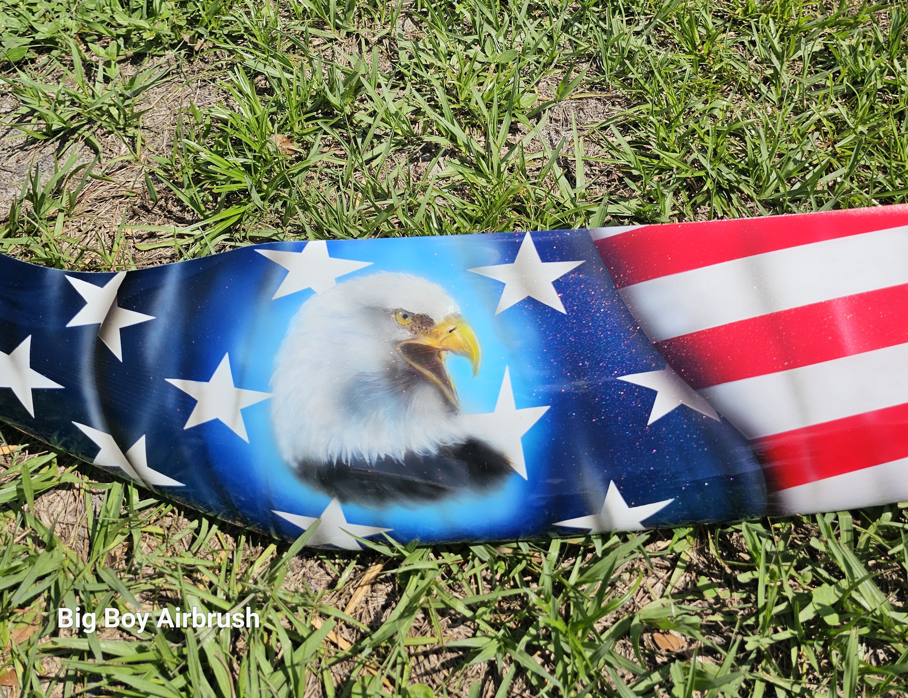 Airbrushed Bug Shield USA Theme
