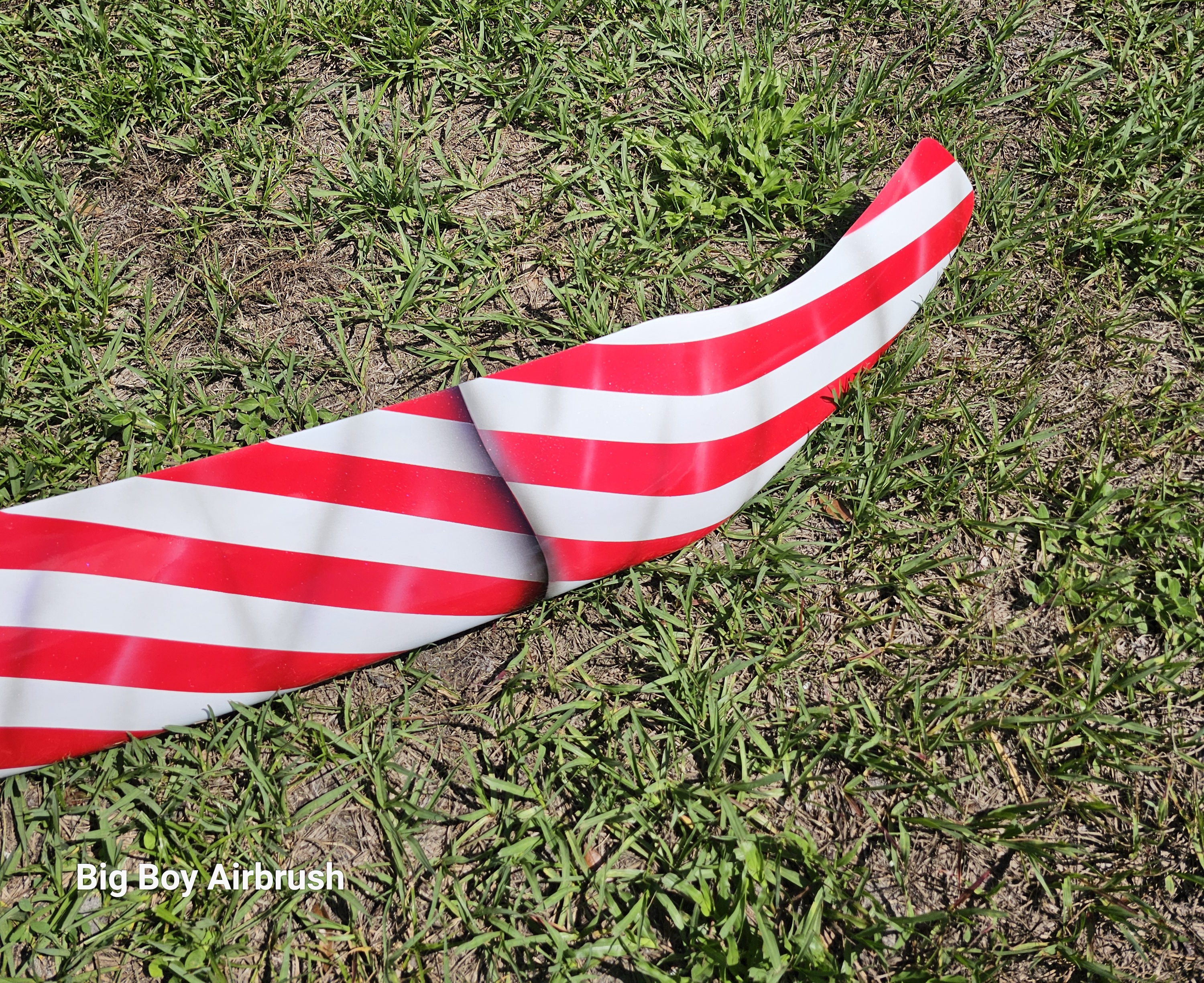 Airbrushed Bug Shield USA Theme