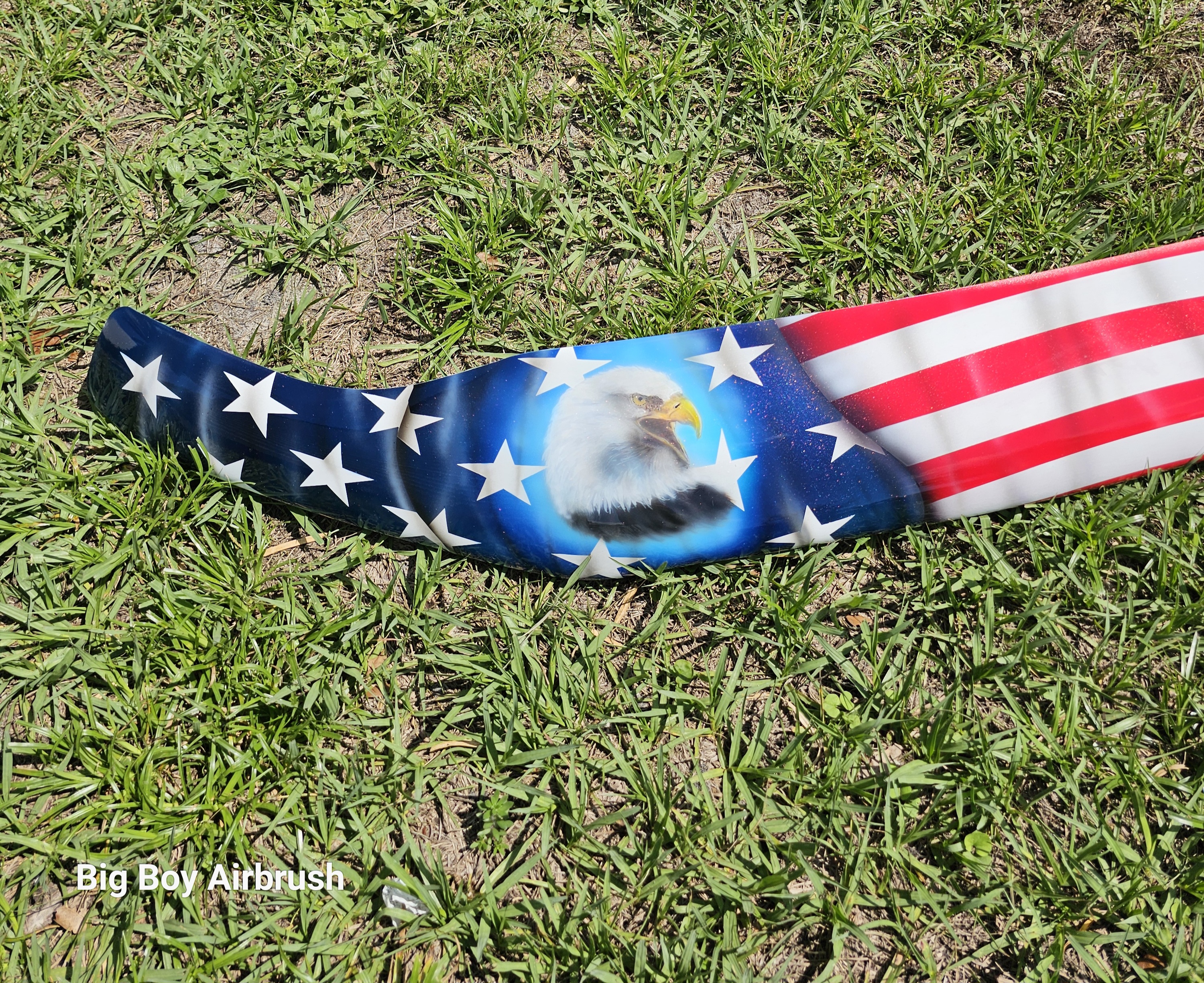 Airbrushed Bug Shield USA Theme